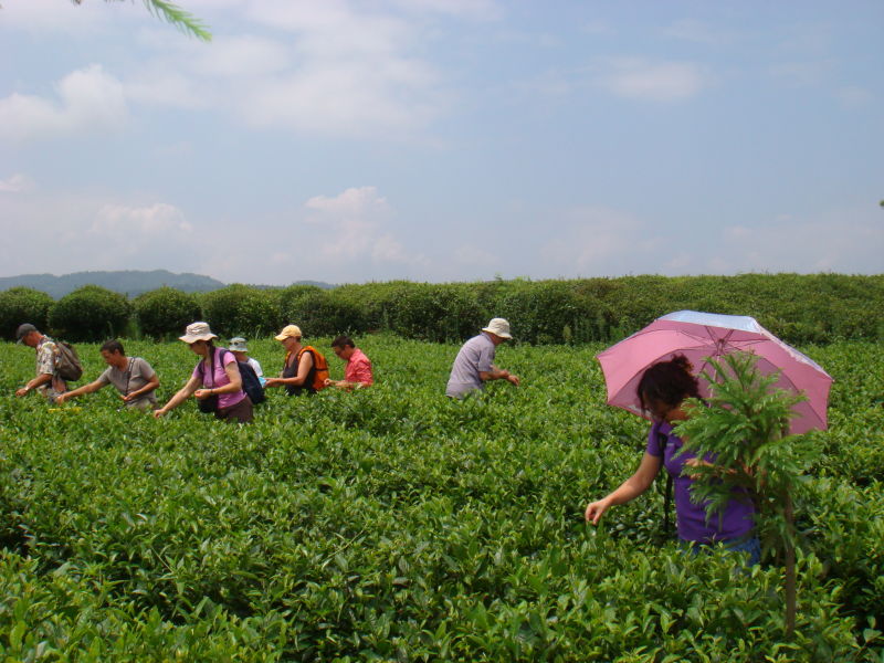 生态农业公司简介范文